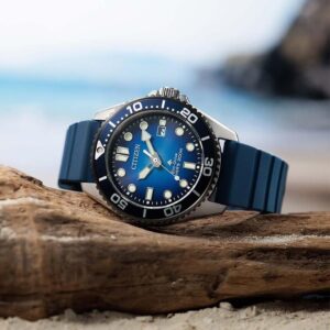 BN0267-04L CITIZEN シチズン プロマスター MARINE