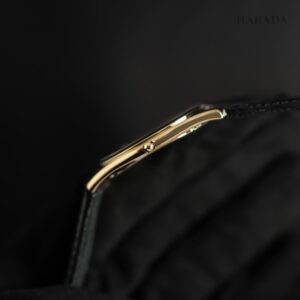 【世界限定250本】 AQ5022-02L CITIZEN シチズン エコ・ドライブ ワン