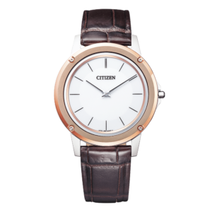 AR5026-05A CITIZEN シチズン エコ・ドライブ ワン