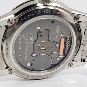 【世界限定200本】 AQ6020-53X The CITIZEN ザ・シチズン 特定店限定モデル