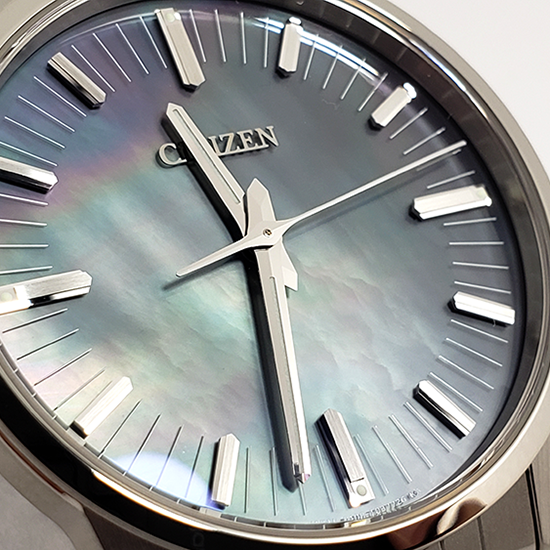 【世界限定200本】 AQ6020-53X The CITIZEN ザ・シチズン 特定店限定モデル