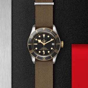M79733N-0005 TUDOR チューダー ブラックベイ S&G