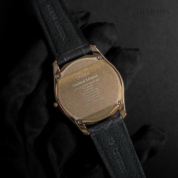 【世界限定250本】 AQ5022-02L CITIZEN シチズン エコ・ドライブ ワン