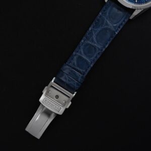 【世界限定400本】 AQ4100-22L The CITIZEN ザ・シチズン Iconic Nature Collection 「夏」 The CITIZEN30周年記念限定モデル