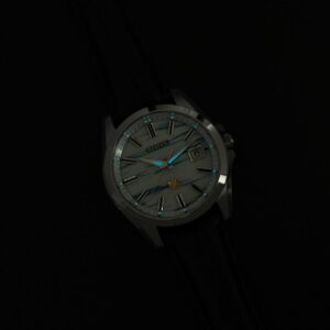 【世界限定200本】 AQ4090-08A The CITIZEN ザ・シチズン 特定店限定モデル