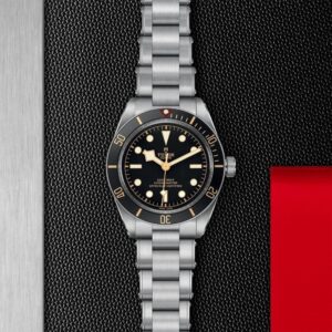 M79030N-0001 TUDOR チューダー ブラックベイ 58