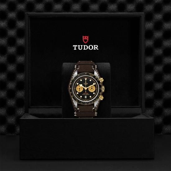 M79363N-0002 TUDOR チューダー ブラックベイ クロノ S&G