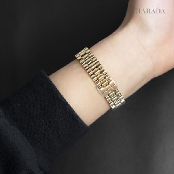 EM1203-57X CITIZEN シチズン シチズンエル RAINELL Collection