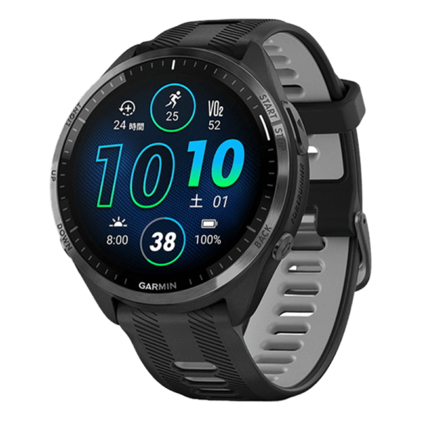 010-02809-60 GARMIN ガーミン フォアランナー 965
