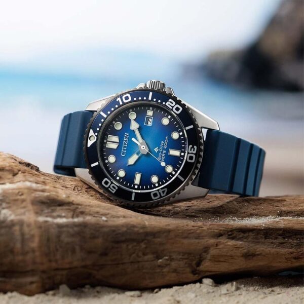 BN0267-04L CITIZEN シチズン プロマスター MARINE