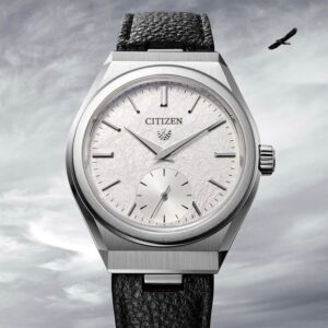 【世界限定160本】 NC0210-11A The CITIZEN ザ・シチズン メカニカル 特定店限定流通 CITIZENブランド時計100周年限定モデル