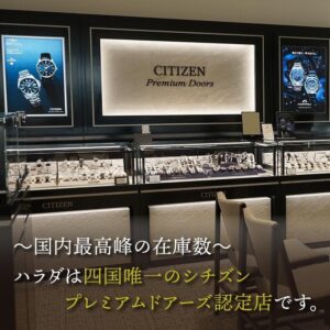 EM1200-55A CITIZEN シチズン シチズンエル RAINELL Collection