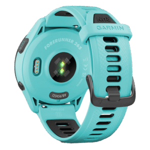 010-02810-42 GARMIN ガーミン フォアランナー 265