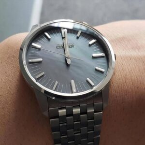 【世界限定200本】 AQ6020-53X The CITIZEN ザ・シチズン 特定店限定モデル