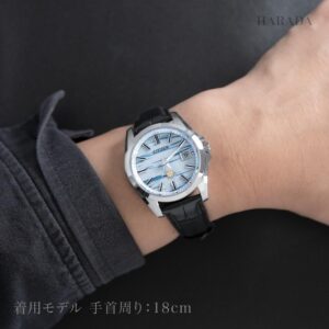 【世界限定200本】 AQ4090-08A The CITIZEN ザ・シチズン 特定店限定モデル