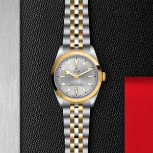 M79643-0002 TUDOR チューダー ブラックベイ ワン 36 S&G