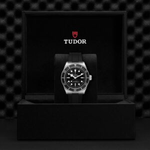 M7941A1A0NU-0002 TUDOR チューダー ブラックベイ