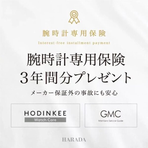 H24301731 HAMILTON ベンチュラ クオーツ 32×50mm