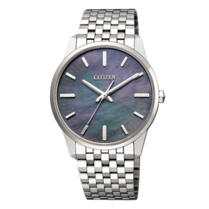 【世界限定200本】 AQ6020-53X The CITIZEN ザ・シチズン 特定店限定モデル