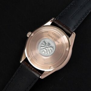 【世界限定400本】 AQ4106-00A The CITIZEN ザ・シチズン Iconic Nature Collection 「春」 The CITIZEN30周年記念限定モデル