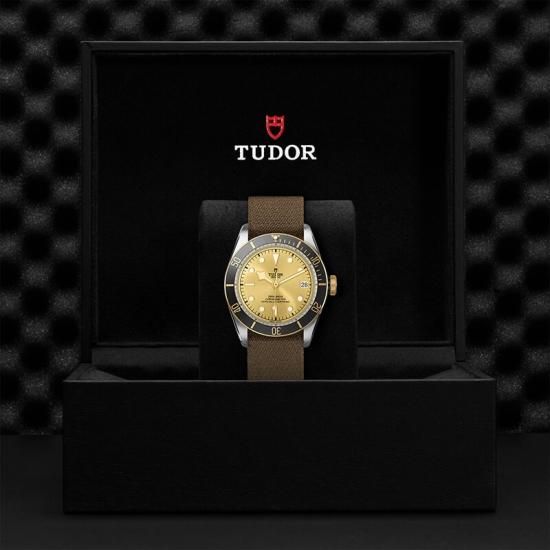 M79733N-0006 TUDOR チューダー ブラックベイ S&G