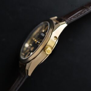 【世界限定400本】 AQ4103-16W The CITIZEN ザ・シチズン Iconic Nature Collection 「秋」 The CITIZEN30周年記念限定モデル