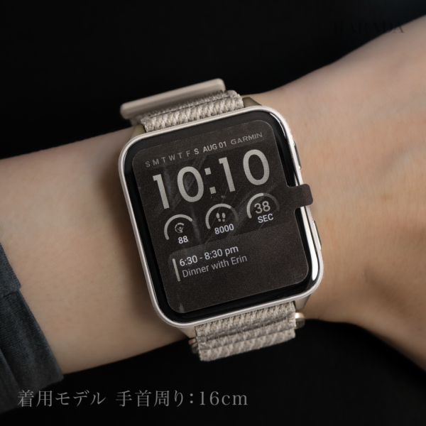 GARMIN ガーミン Venu X1 ベニュー 010-02980-32 French Gray