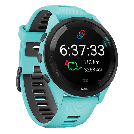 010-02810-42 GARMIN ガーミン フォアランナー 265