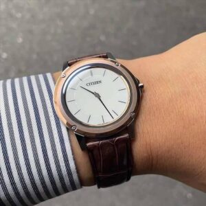 AR5026-05A CITIZEN シチズン エコ・ドライブ ワン