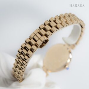 EM1203-57X CITIZEN シチズン シチズンエル RAINELL Collection