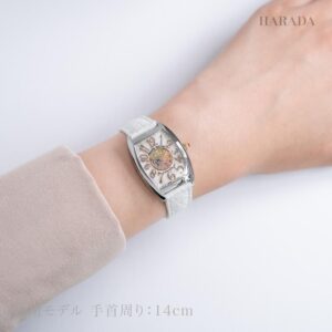 1752BQZRELCOLDRO1PSTG AC FRANCK MULLER フランクミュラー トノウ カーベックス (CINTREE CURVEX PASTILLE)
