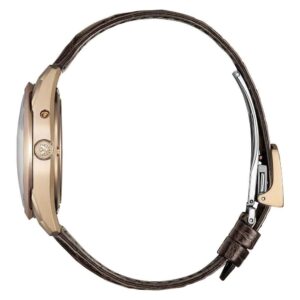 【世界限定400本】 AQ4106-00A The CITIZEN ザ・シチズン Iconic Nature Collection 「春」 The CITIZEN30周年記念限定モデル