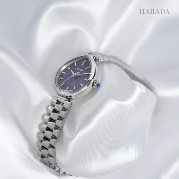 EM1200-55X CITIZEN シチズン シチズンエル RAINELL Collection