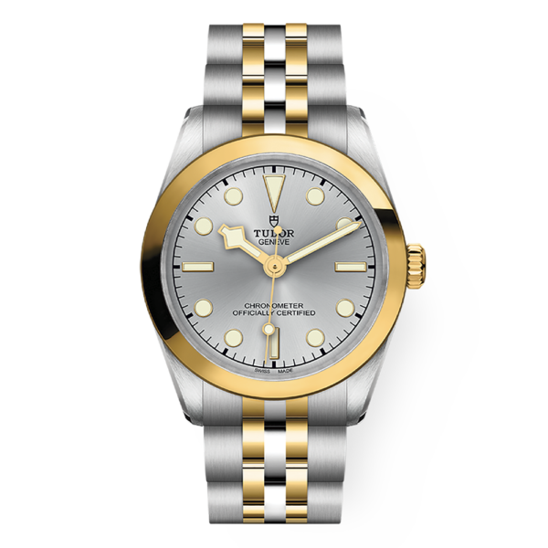 M79603-0002 TUDOR チューダー ブラックベイ ワン 31 S&G