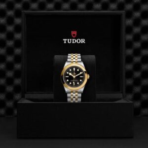 M79663-0001 TUDOR チューダー ブラックベイ ワン 39 S&G