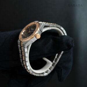 298617-6001 Chopard ショパール アルパインイーグル 33mm