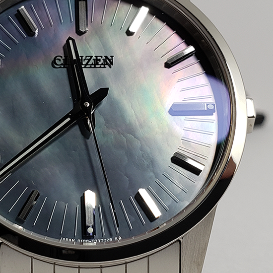 【世界限定200本】 AQ6020-53X The CITIZEN ザ・シチズン 特定店限定モデル