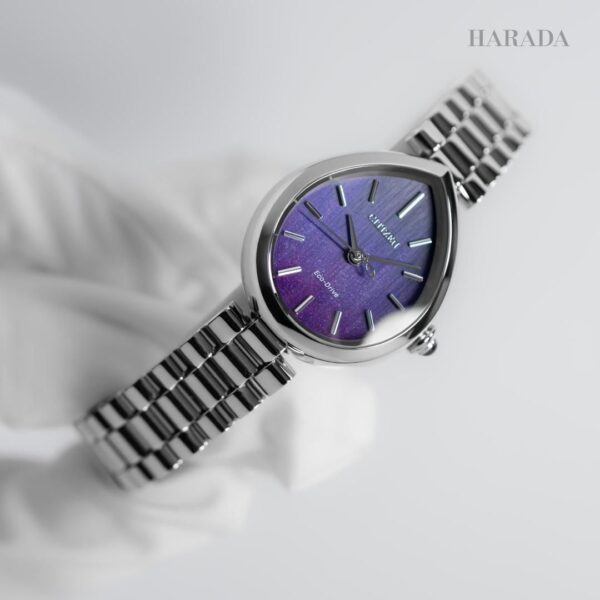 EM1200-55X CITIZEN シチズン シチズンエル RAINELL Collection
