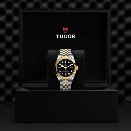M79643-0001 TUDOR チューダー ブラックベイ ワン 36 S&G