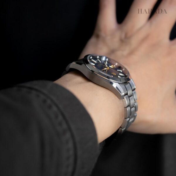 【世界限定400本】 AQ4094-58L The CITIZEN ザ・シチズン