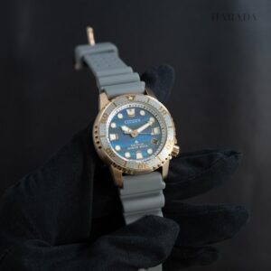【世界限定3,400本】 EO2023-00W CITIZEN シチズン プロマスター MARINE