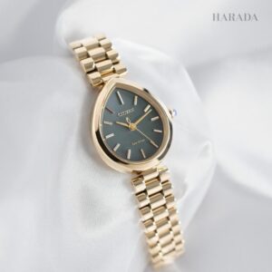 EM1203-57X CITIZEN シチズン シチズンエル RAINELL Collection