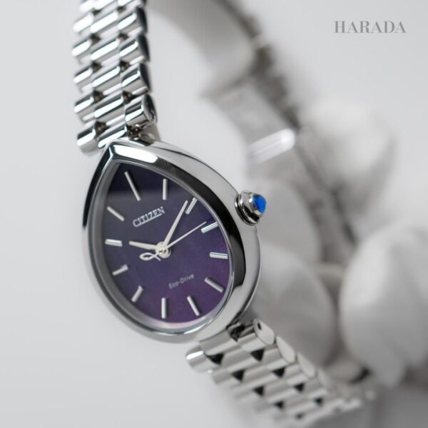 EM1200-55X CITIZEN シチズン シチズンエル RAINELL Collection
