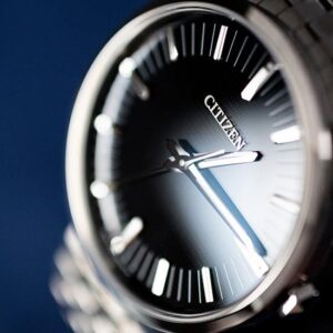 【世界限定500本】 AQ6021-51E The CITIZEN ザ・シチズン 特定店限定モデル
