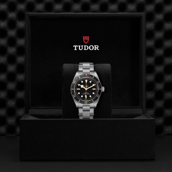 M79030N-0001 TUDOR チューダー ブラックベイ 58