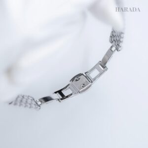 【世界限定3,500本】 EX1540-58L CITIZEN シチズン シチズンエル RAINELL Collection