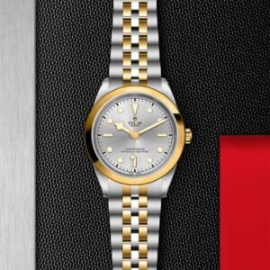 M79683-0002 TUDOR チューダー ブラックベイ ワン 41 S&G