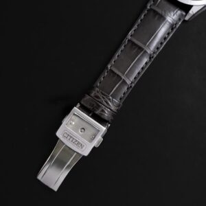 【世界限定400本】 AQ4100-22A The CITIZEN ザ・シチズン Iconic Nature Collection 「冬」 The CITIZEN30周年記念限定モデル