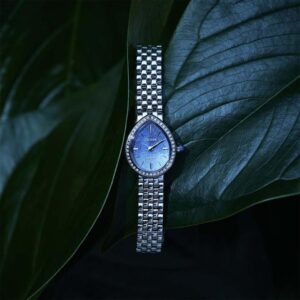 【世界限定3,500本】 EX1540-58L CITIZEN シチズン シチズンエル RAINELL Collection