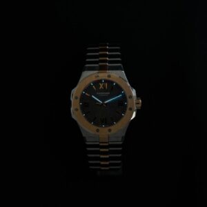 298617-6001 Chopard ショパール アルパインイーグル 33mm